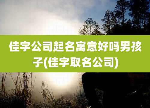 佳字公司起名寓意好吗男孩子(佳字取名公司)