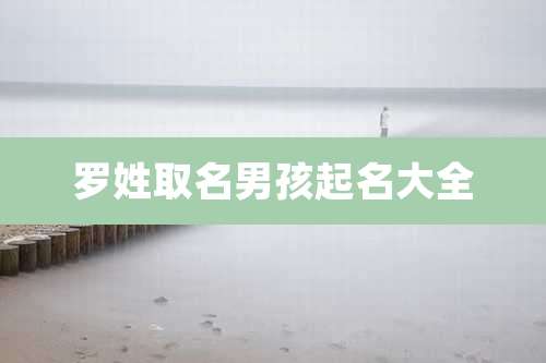 罗姓取名男孩起名大全