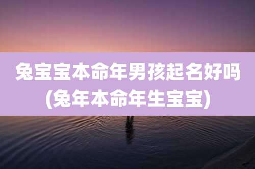 兔宝宝本命年男孩起名好吗(兔年本命年生宝宝)