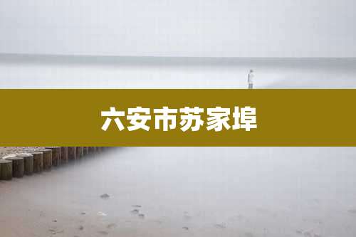 六安市苏家埠
