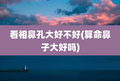 看相鼻孔大好不好(算命鼻子大好吗)