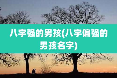 八字强的男孩(八字偏强的男孩名字)