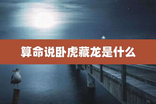 算命说卧虎藏龙是什么