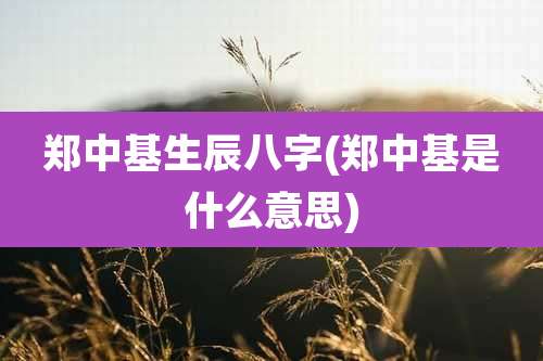 郑中基生辰八字(郑中基是什么意思)