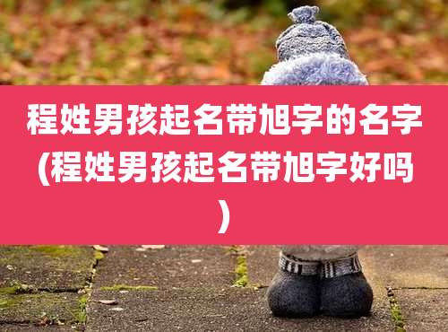 程姓男孩起名带旭字的名字(程姓男孩起名带旭字好吗)