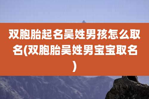 双胞胎起名吴姓男孩怎么取名(双胞胎吴姓男宝宝取名)