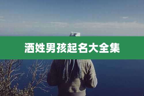 洒姓男孩起名大全集