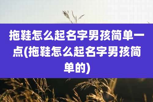 拖鞋怎么起名字男孩简单一点(拖鞋怎么起名字男孩简单的)