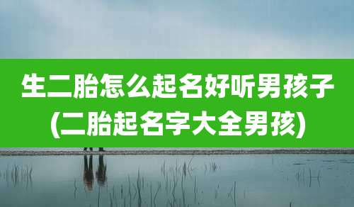 生二胎怎么起名好听男孩子(二胎起名字大全男孩)