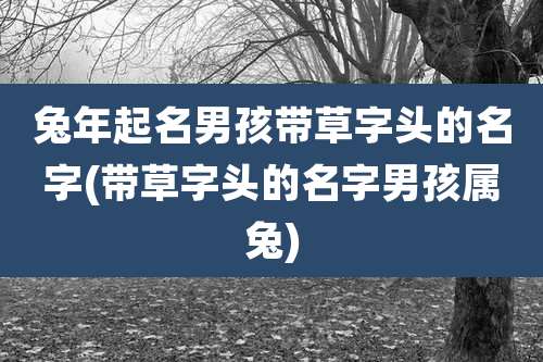 兔年起名男孩带草字头的名字(带草字头的名字男孩属兔)