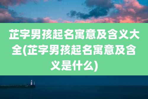 芷字男孩起名寓意及含义大全(芷字男孩起名寓意及含义是什么)