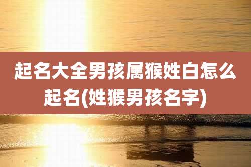 起名大全男孩属猴姓白怎么起名(姓猴男孩名字)