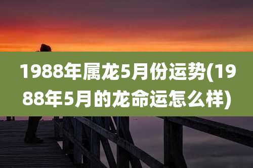 1988年属龙5月份运势(1988年5月的龙命运怎么样)