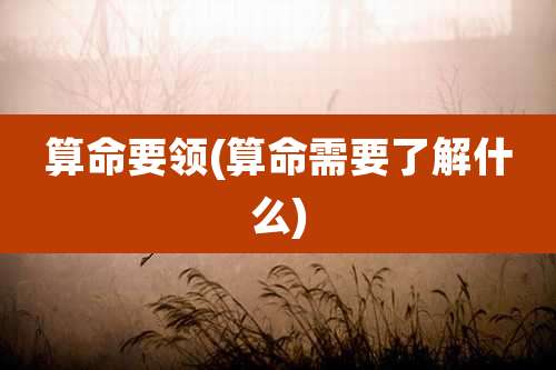 算命要领(算命需要了解什么)