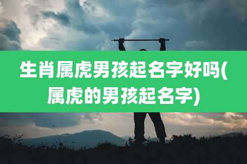 生肖属虎男孩起名字好吗(属虎的男孩起名字)