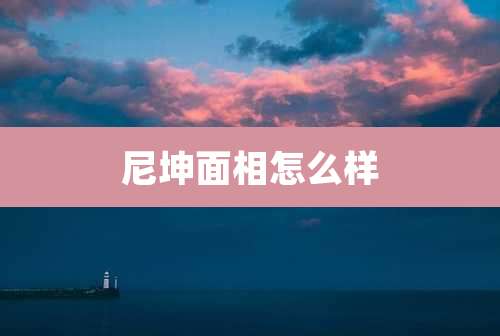 尼坤面相怎么样