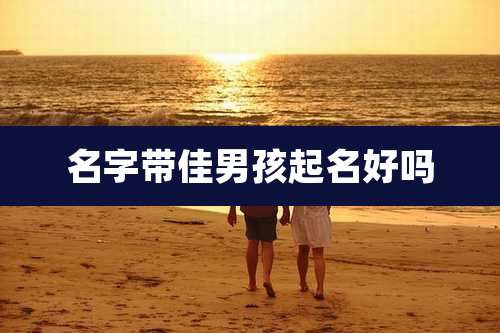 名字带佳男孩起名好吗