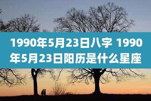 1990年5月23日八字 1990年5月23日阳历是什么星座