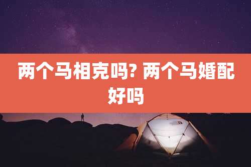 两个马相克吗? 两个马婚配好吗