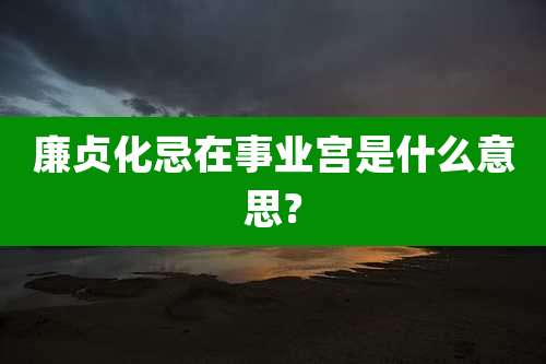 廉贞化忌在事业宫是什么意思?