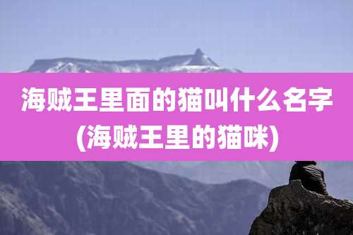 海贼王里面的猫叫什么名字(海贼王里的猫咪)