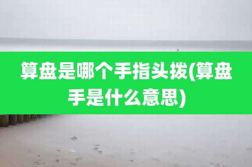 算盘是哪个手指头拨(算盘手是什么意思)