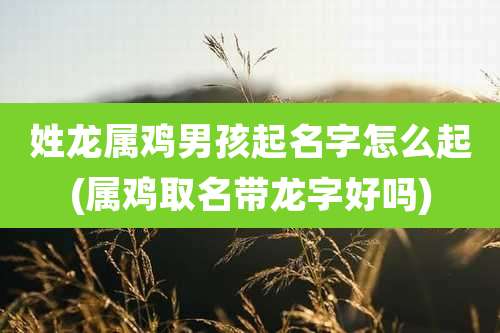 姓龙属鸡男孩起名字怎么起(属鸡取名带龙字好吗)