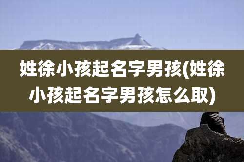姓徐小孩起名字男孩(姓徐小孩起名字男孩怎么取)