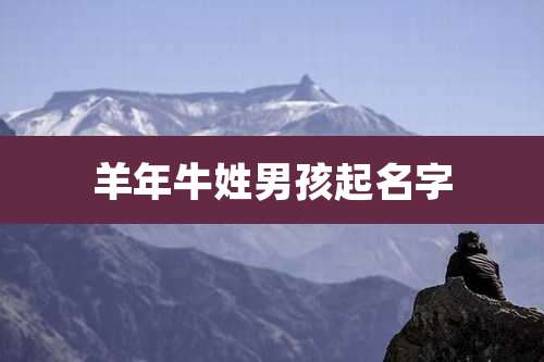 羊年牛姓男孩起名字