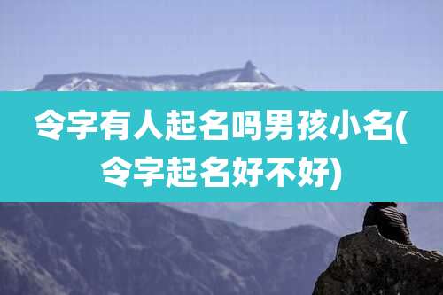 令字有人起名吗男孩小名(令字起名好不好)