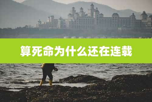 算死命为什么还在连载