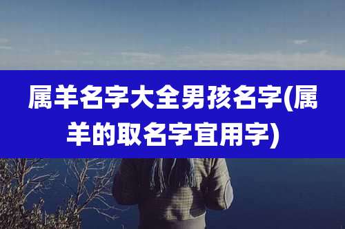 属羊名字大全男孩名字(属羊的取名字宜用字)