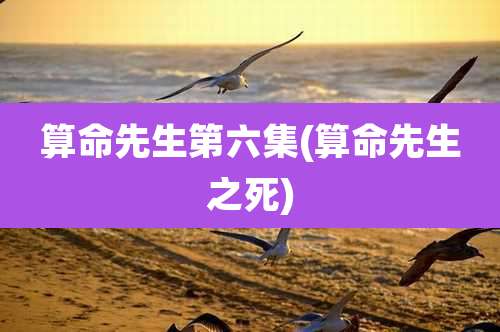 算命先生第六集(算命先生之死)