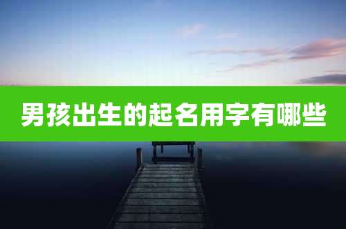 男孩出生的起名用字有哪些