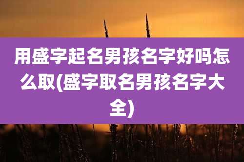 用盛字起名男孩名字好吗怎么取(盛字取名男孩名字大全)