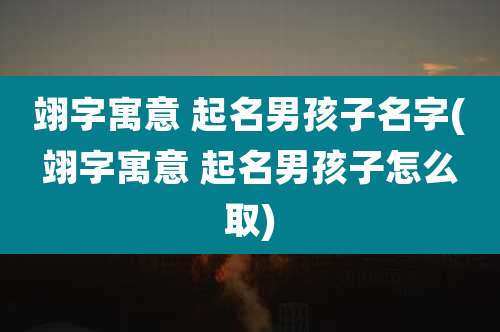 翊字寓意 起名男孩子名字(翊字寓意 起名男孩子怎么取)
