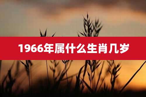 1966年属什么生肖几岁