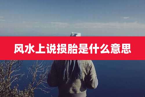 风水上说损胎是什么意思