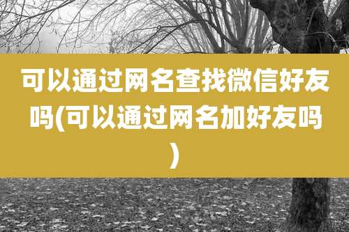 可以通过网名查找微信好友吗(可以通过网名加好友吗)