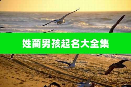 姓蔺男孩起名大全集