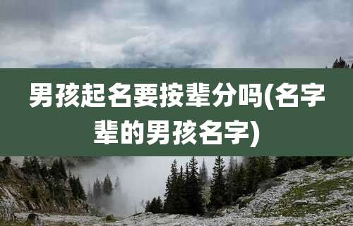 男孩起名要按辈分吗(名字辈的男孩名字)