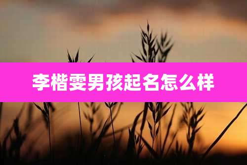 李楷雯男孩起名怎么样