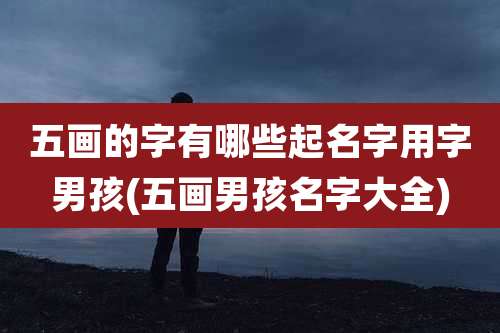 五画的字有哪些起名字用字男孩(五画男孩名字大全)
