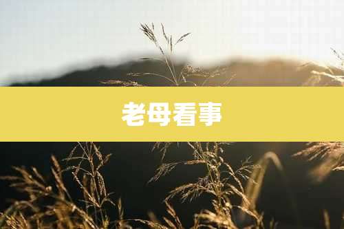 老母看事