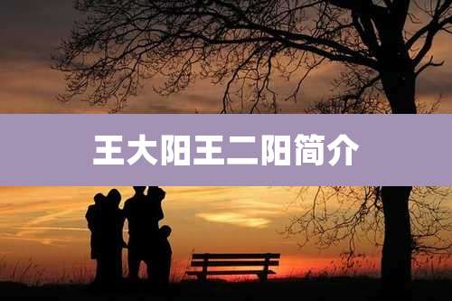 王大阳王二阳简介