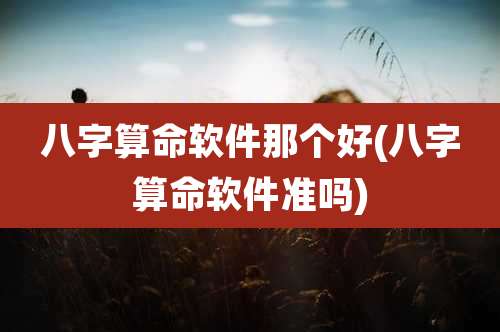 八字算命软件那个好(八字算命软件准吗)