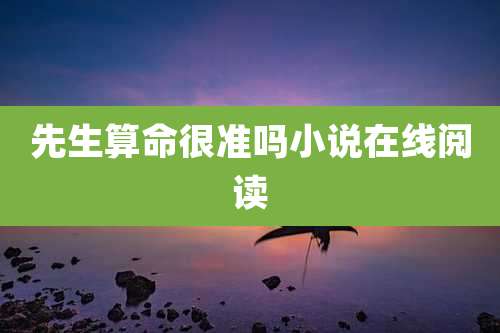 先生算命很准吗小说在线阅读