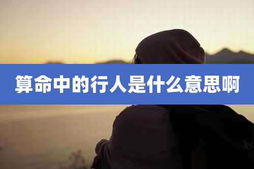 算命中的行人是什么意思啊