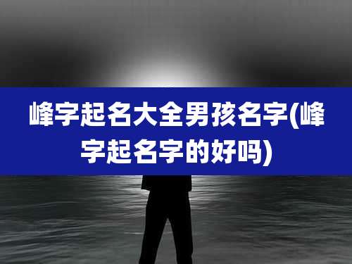 峰字起名大全男孩名字(峰字起名字的好吗)