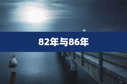 82年与86年
